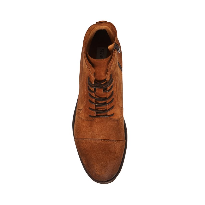 Botines Steve Madden Wells Gamuza Hombre Marrones | ES KHSE40